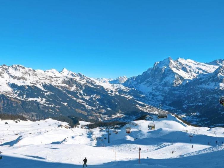 Chalet Aphrodite Ost Apartment Grindelwald Bagian luar foto