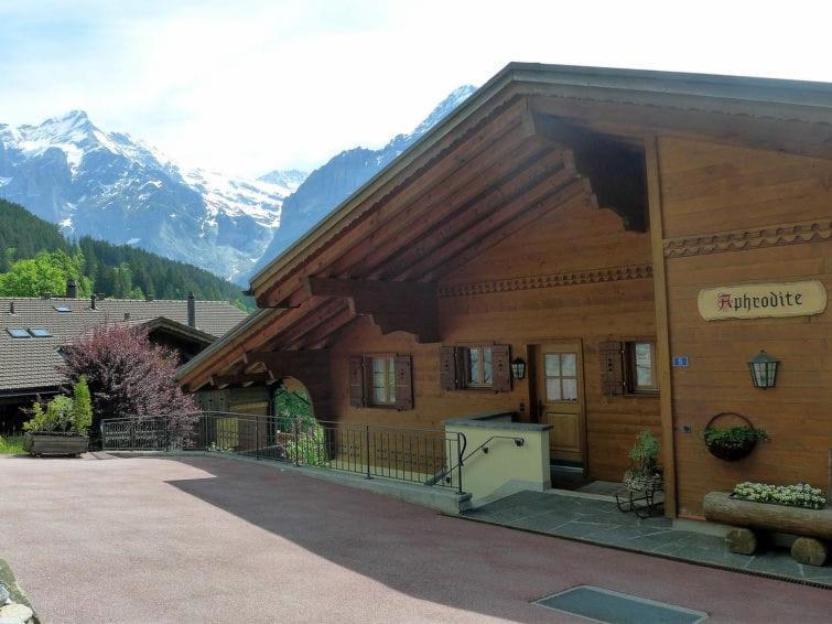 Chalet Aphrodite Ost Apartment Grindelwald Bagian luar foto