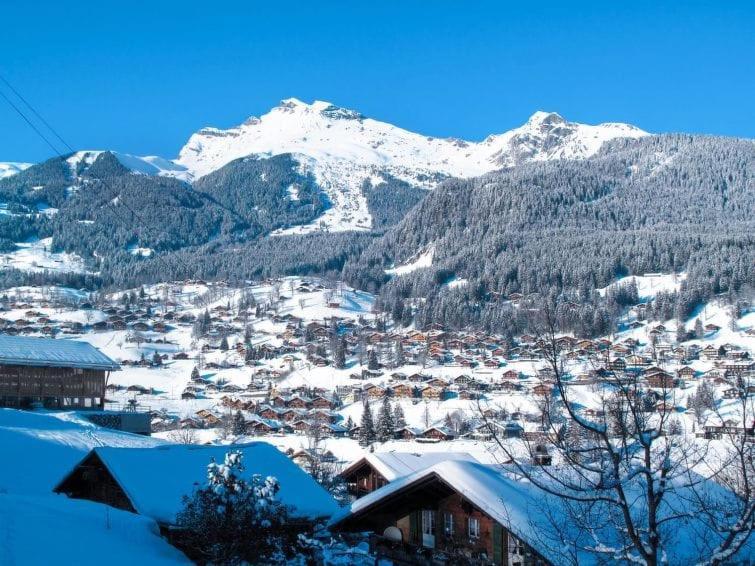 Chalet Aphrodite Ost Apartment Grindelwald Bagian luar foto