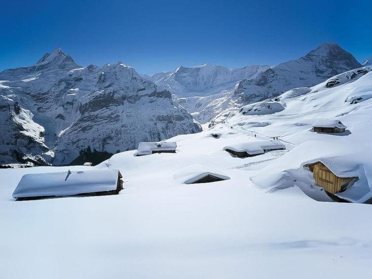 Chalet Aphrodite Ost Apartment Grindelwald Bagian luar foto